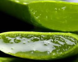 Aloe, retour sur une discution avec un client