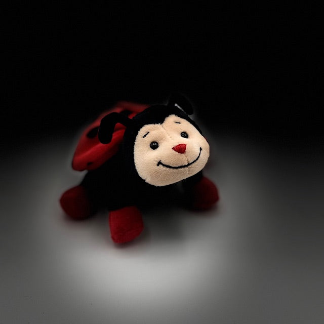doudou la coccinelle