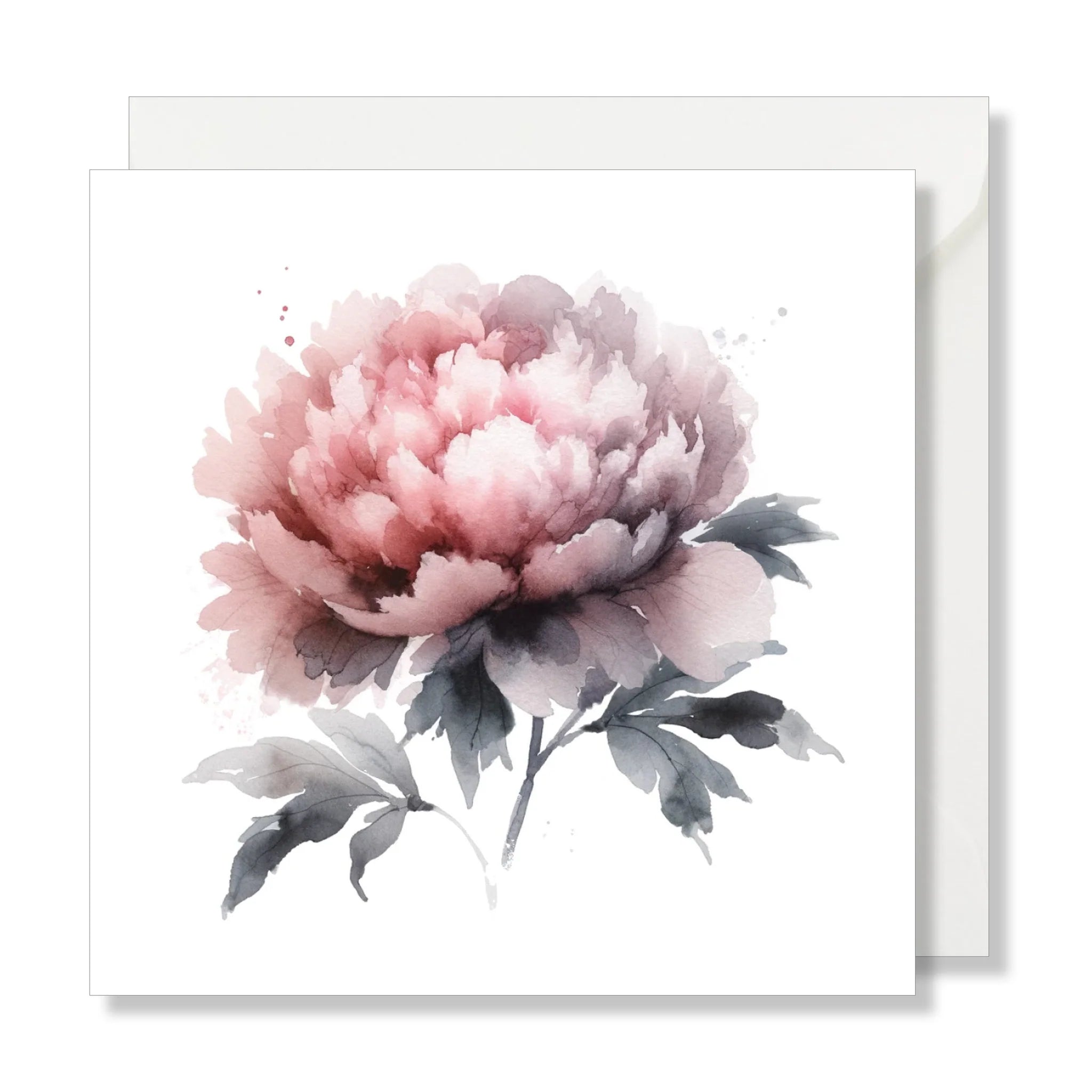 Carte Pivoine