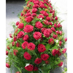 Funeral arrangement flowers