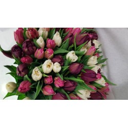 bouquet Lucette tulipes en...