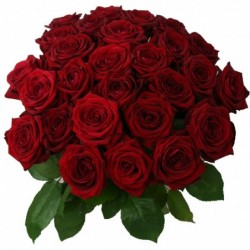 Red Rosesa classic for...