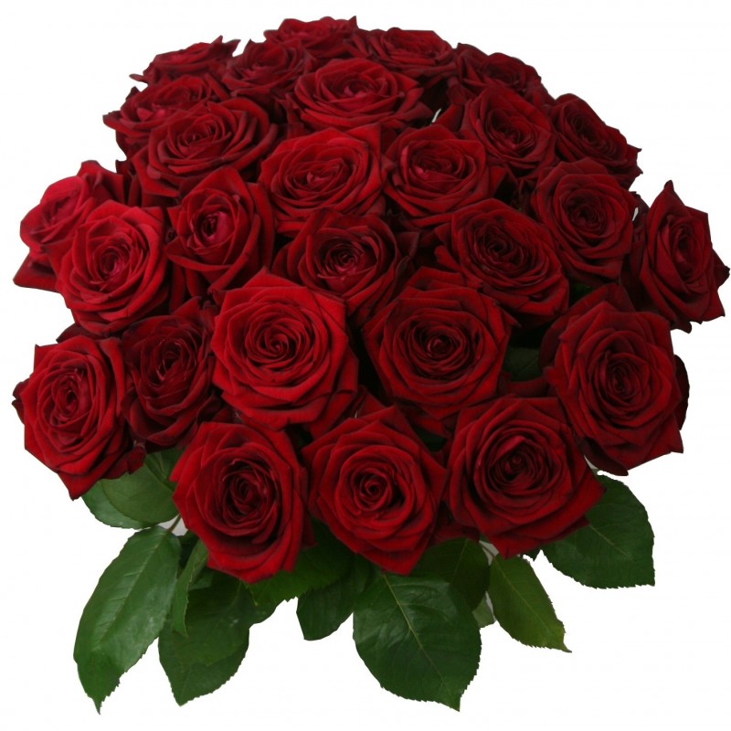 Beautifu Red Roses Bouquet