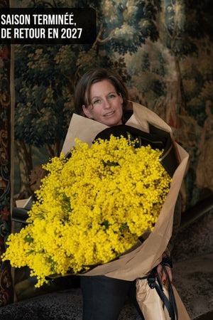 L’Or de la Riviera – Bouquet de Mimosa d'Exception Livraison Fleurs Lausanne - Blue Flowers