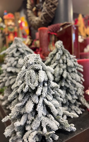 Sapin de Noël enneigé